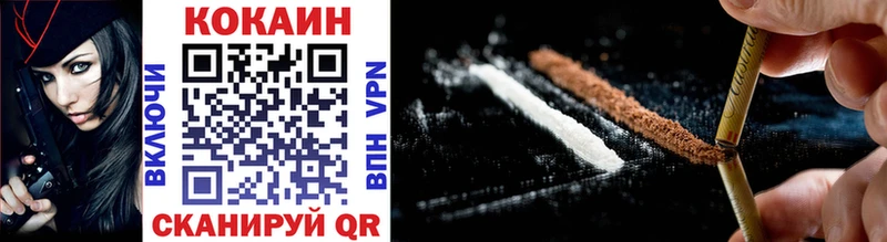маркетплейс как зайти  Спасск  Cocaine Fish Scale  магазин продажи  