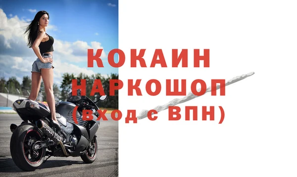 гидра Аркадак
