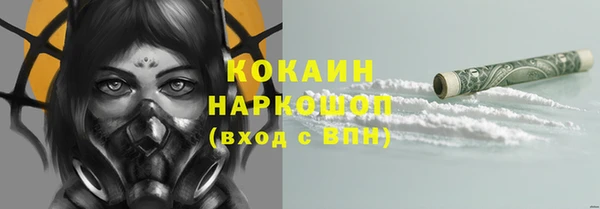 стафф Арсеньев