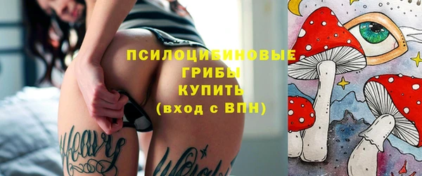 стафф Арсеньев