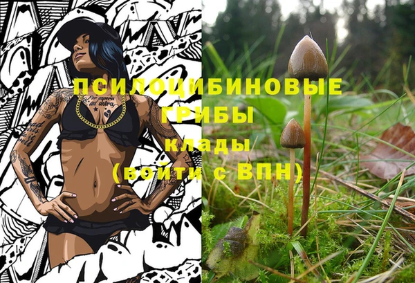 стафф Арсеньев