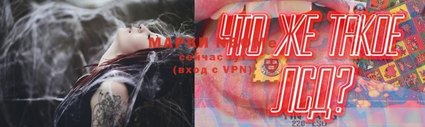 гидра Аркадак